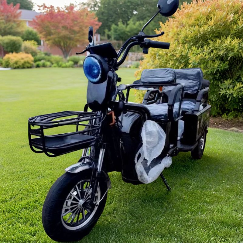 Электротрицикл Gbike Trike 1000W Электротрицикл Gbike Trike 1000W