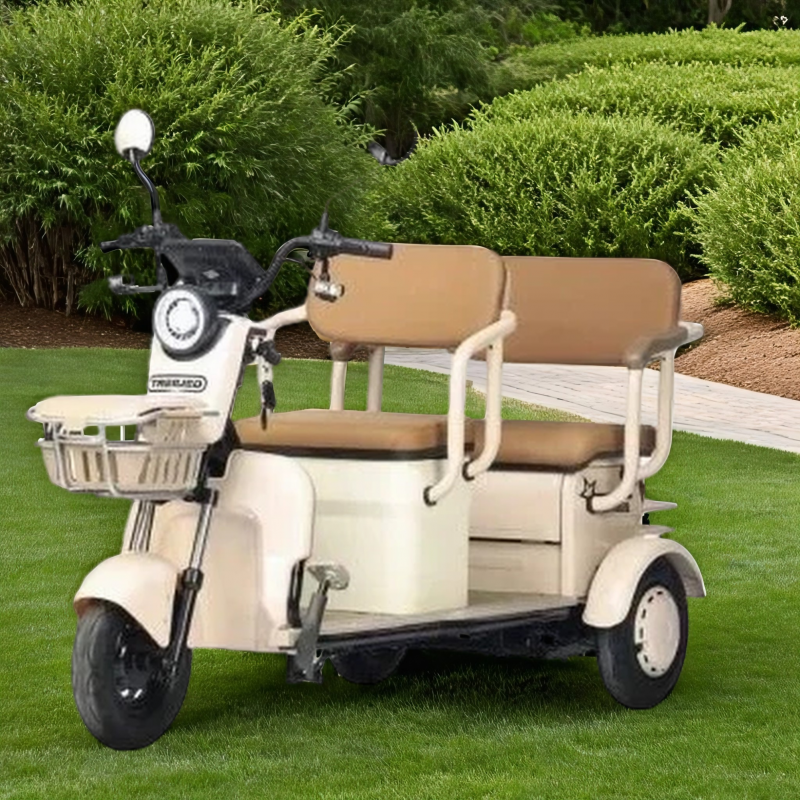 Электротрицикл Gelbert Atlas 48V/60V 600Вт Электротрицикл Gelbert Atlas 48V/60V 600Вт