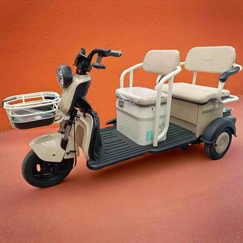 Электротрицикл ProTrike Караван М Электротрицикл ProTrike Караван М
